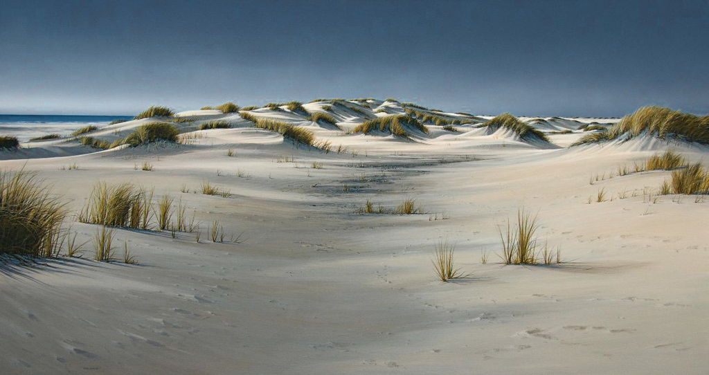 Shifting Sands, Farewell Spit
